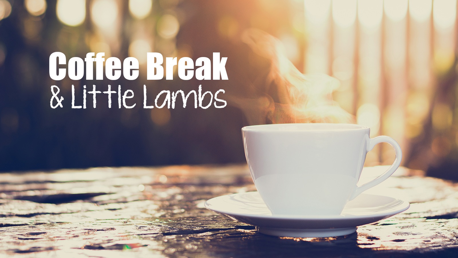 Coffee Break + Little Lambs